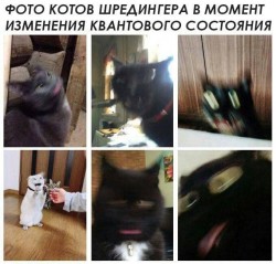 46436790_1970005893090360_2173144235052630016_n.jpg