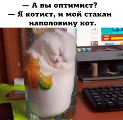 котист.jpg