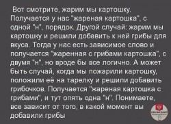 грибы.jpg