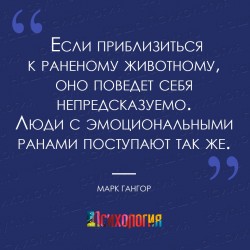 раны.jpg