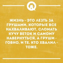 53057925_1630142133755541_7919167146834264064_n.jpg