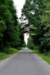 DSC_0140.JPG