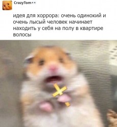 волосы.jpg
