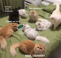 lWq5ulu8Sw4.jpg