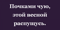 распущусь.png