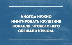 71132118_2857243780972572_1066501960837890048_n.png