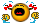 41 .41